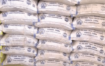 MEALIE MEAL DEMAND ON THE ZAMBIAN MARKET REDUCES