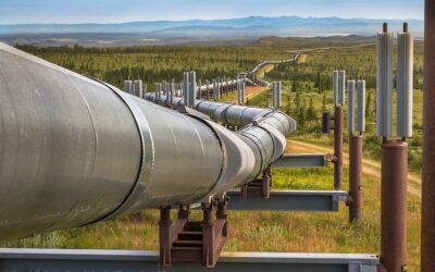 GOVERNMENT URGED TO PUSH FOR SPEEDY CONSTRUCTION OIL AND GAS PIPELINES TO REDUCE COST OF PETROLEUM PRODUCTS