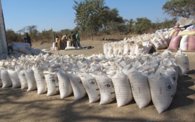 GOVT ADVISED TO RECONSIDER ITS DECISION NOT TO INCREASE NUMBER OF FARMERS ON FISP IN THE 2023/24 FARMING SEASON