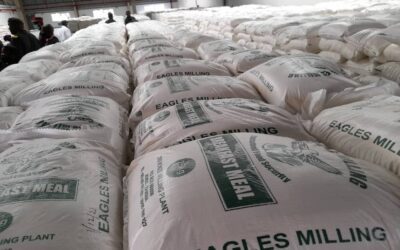 MILLERS FACING DIFFICULTIES SELLING THEIR MEALIE-MEAL DUE TO INTENSE COMPETITION FROM ZNS EAGLES BRAND