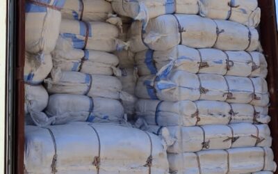 FRA BEGINS DISTRIBUTION OF 5 MILLION EMPTY GRAIN BAGS AFTER DELAYS IN MAIZE PURCHASES