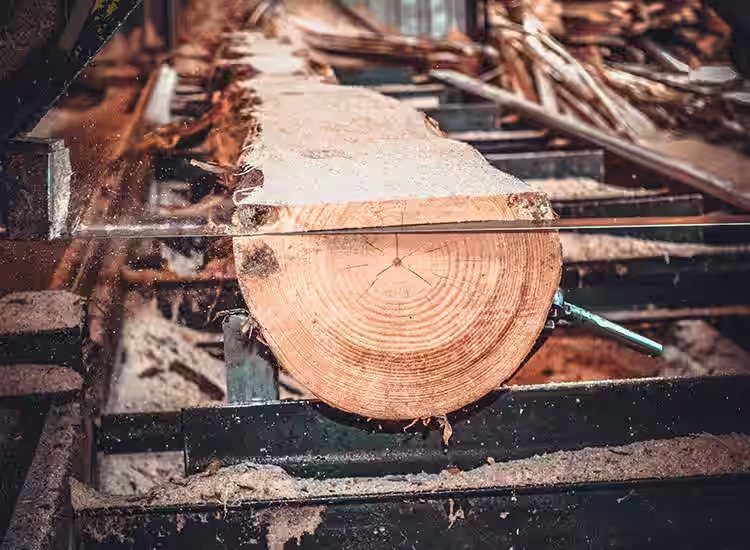 TIMBER PRODUCERS COMPLAIN OF GROWING CORRUPTION AND POLITICAL PERSECUTION WITHIN THE INDUSTRY