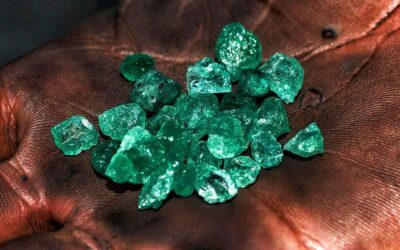 GOVT CHALLENGED TO COMPEL INVESTORS TO AUCTION EMERALDS AND OTHER PRECIOUS STONES LOCALLY