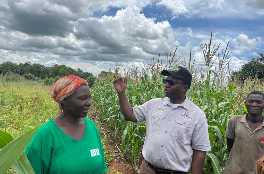 GOVT SAYS CLIMATE SMART AGRICULTURE PRACTICES KEY TO ZAMBIA’S FOOD SECURITY AMIDST THE DROUGHT