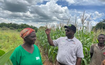 GOVT SAYS CLIMATE SMART AGRICULTURE PRACTICES KEY TO ZAMBIA’S FOOD SECURITY AMIDST THE DROUGHT