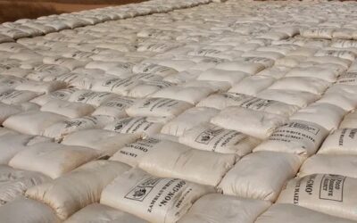 FRA BUYS OVER 500,000 METRIC TONNES OF WHITE MAIZE FROM FARMERS