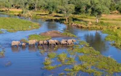 SUSTAINED ISSUANCE OF MINING LICENSES IN PROTECTED AREAS ATTRIBUTED TO A LACK OF CLIMATE CHANGE LEGISLATION AND INEFFECTIVE LICENSING COMMITTEES IN ZAMBIA