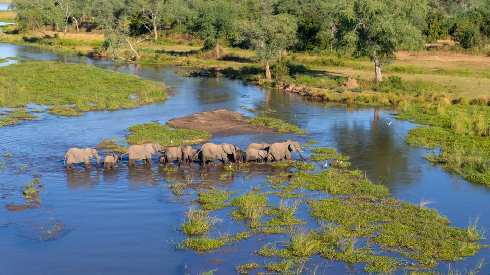 SUSTAINED ISSUANCE OF MINING LICENSES IN PROTECTED AREAS ATTRIBUTED TO A LACK OF CLIMATE CHANGE LEGISLATION AND INEFFECTIVE LICENSING COMMITTEES IN ZAMBIA