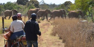 7 LIVES LOST SO FAR THIS YEAR DUE TO HUMAN-WILDLIFE CONFLICTS IN LIVINGSTONE