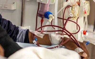 KIDNEY FOUNDATION OF ZAMBIA SAYS CURRENT POWER CRISIS AFFECTING PROVISION OF RENAL SERVICES