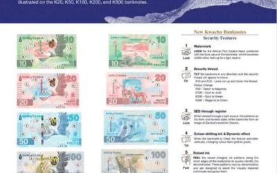 ANALYST PREDICTS INFLATION SURGE FOLLOWING INTRODUCTION OF NEW HIGHER DENOMINATION BANKNOTES