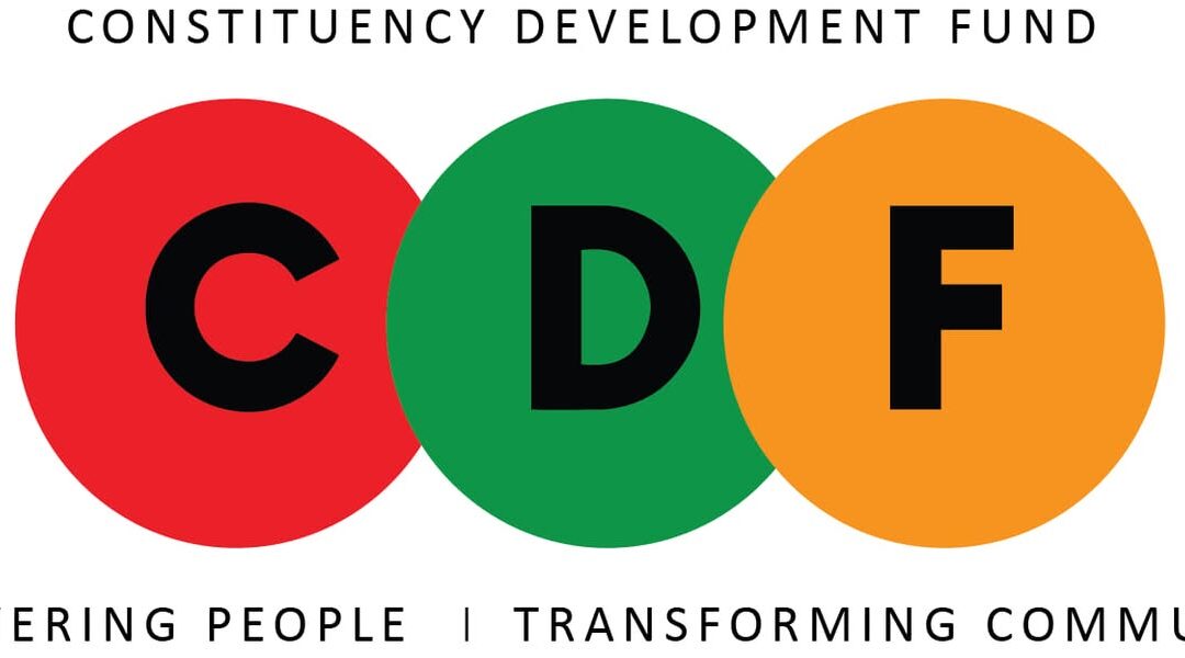 TIZ URGES GOVT TO REDUCE CDF ALLOCATION