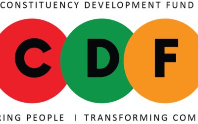 TIZ URGES GOVT TO REDUCE CDF ALLOCATION