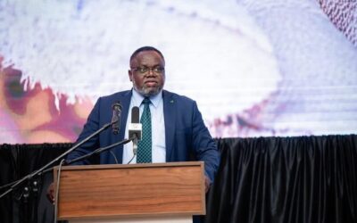 MINES MINISTER DEFENDS MINERAL OUTPUT GAINS, CITES GROWING BENEFITS FOR ZAMBIANS