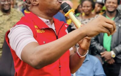 UPND NOT THREATENED BY PF RECONCILIATION