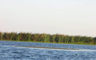 SUSPECTED WATER POLLUTION REPORTED IN KAFUE RIVER IN CHILILABOMBWE