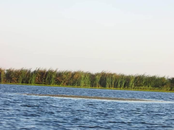 SUSPECTED WATER POLLUTION REPORTED IN KAFUE RIVER IN CHILILABOMBWE