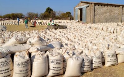 FRA SETS K340 MAIZE BUYING PRICE FOR 2025 MARKETING SEASON