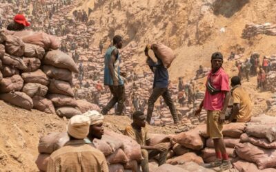 PUBLISH WHAT YOU PAY CALLS FOR SWIFT IMPLEMENTATION OF NATIONAL ACTION PLAN ON BUSINESS AND HUMAN RIGHTS