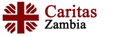 CARITAS ZAMBIA CONCERNED ABOUT WEAK AND DIVIDED OPPOSITION