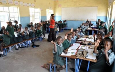 ZANEC CALLS FOR REVIEW OF FREE EDUCATION POLICY AMID DECLINING LITERACY RATES