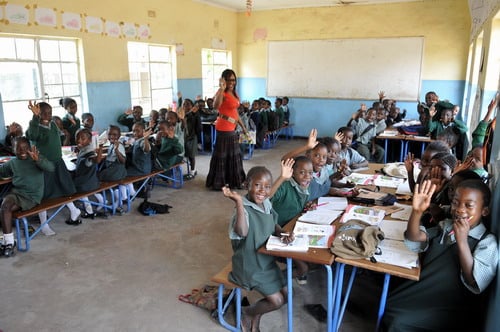 ZANEC CALLS FOR REVIEW OF FREE EDUCATION POLICY AMID DECLINING LITERACY RATES