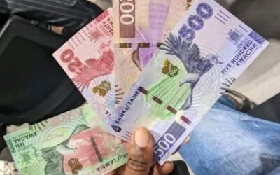 FINANCIAL EXPERT URGES CENTRAL BANK TO ENHANCE SECURITY FEATURES OF NEW BANKNOTES AMID CONCERNS OF WIDESPREAD COUNTERFEITING