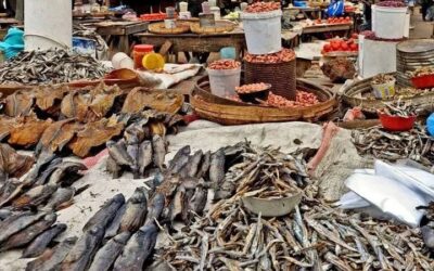 COMMERCE MINISTER PREDICTS KWACHA GAINS TO EASE COST OF LIVING IN 60 DAYS