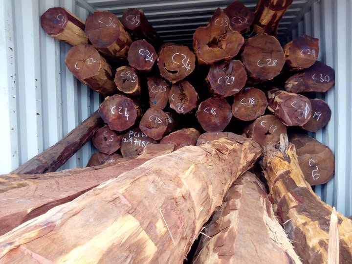 TIMBER PRODUCERS SAY SECTOR FARED BETTER UNDER PF COMPARED TO UPND