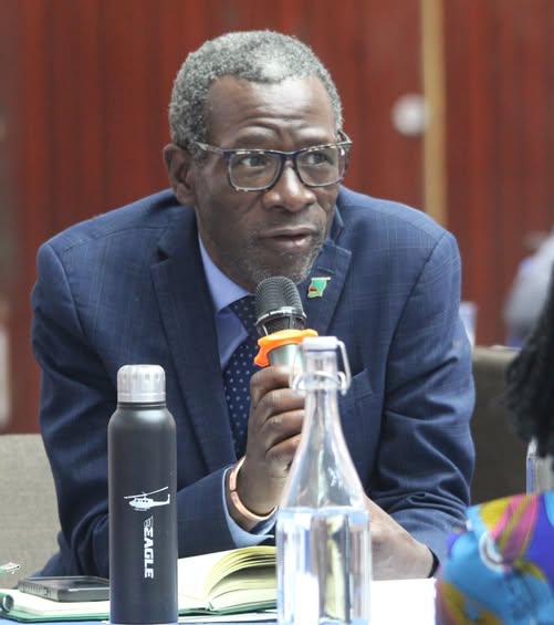 41 DISTRICTS LIKELY TO BE FOOD INSECURE IN THIS YEAR’S RAINY SEASON-DMMU