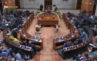 PARLIAMENT TO PROCEED WITH OFFICIAL OPENING DESPITE OPPOSITION BOYCOTT THREAT