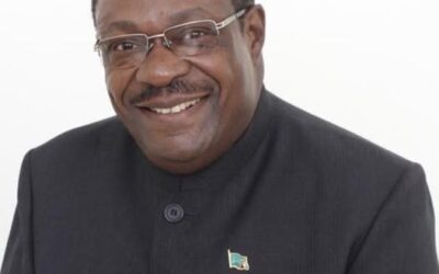 DR. SEBASTIAN KOPULANDE CALLS FOR OVERHAUL OF SME MINISTRY’S LENDING-FOCUSED STRATEGY