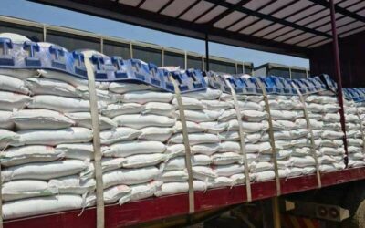 MAZ EXPORTS OVER 70,000 METRIC TONNES OF MEALIE-MEAL SINCE AUGUST THIS YEAR